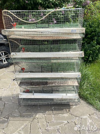 Клетки для перепелов на 120 голов