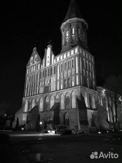 Экскурсии по Калининграду до 7 чел