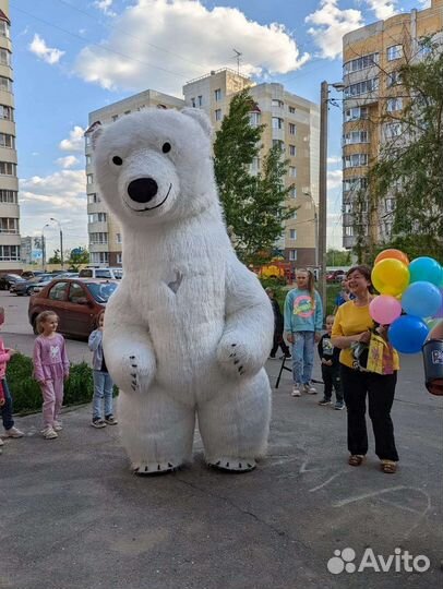 Поздравление: Белый мишка, панда, зайка и др