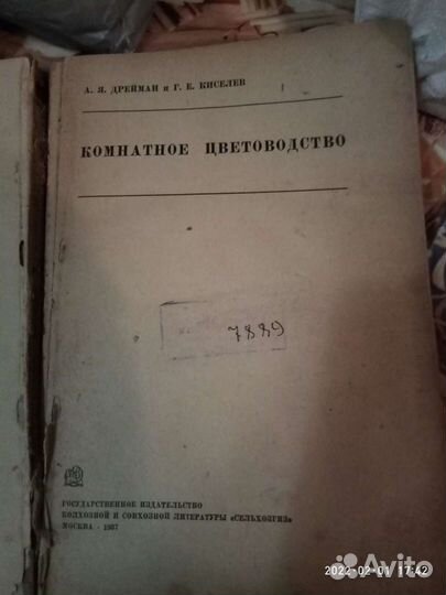 Комнатное цветовотство