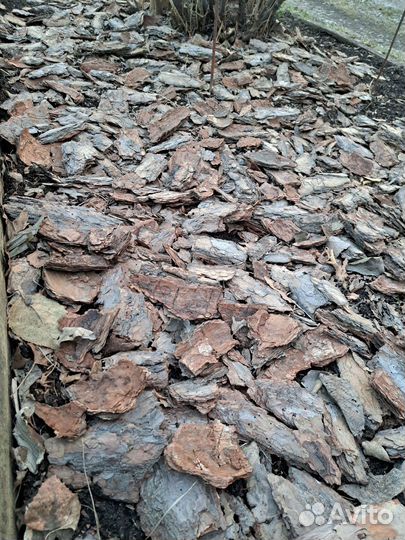 Мульча сосновая кора