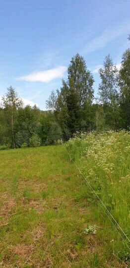 Участок 10 сот. (СНТ, ДНП)