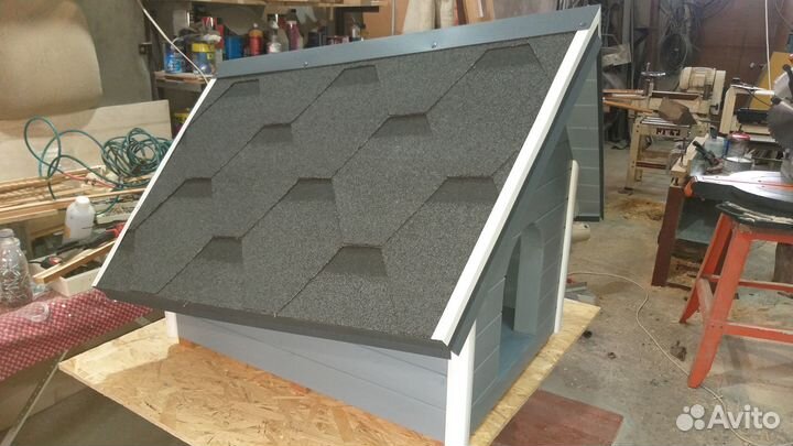 Собачья будка