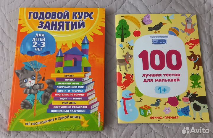 Годовой курс занятий 2 года