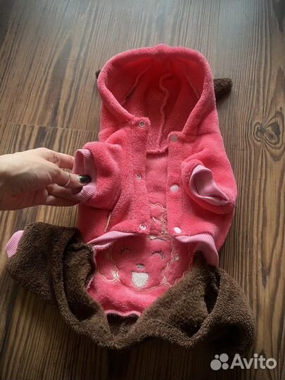 Одежда для кошек