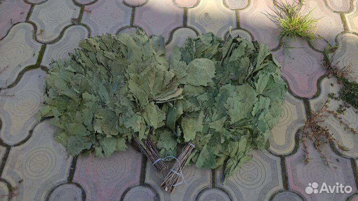 Дубовый веник