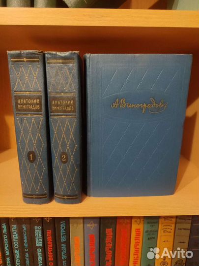Виноградов Анатолий, Алексеев Михаил