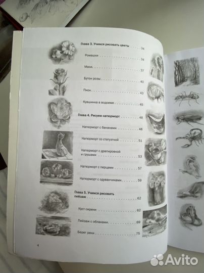 Пошаговые уроки рисования