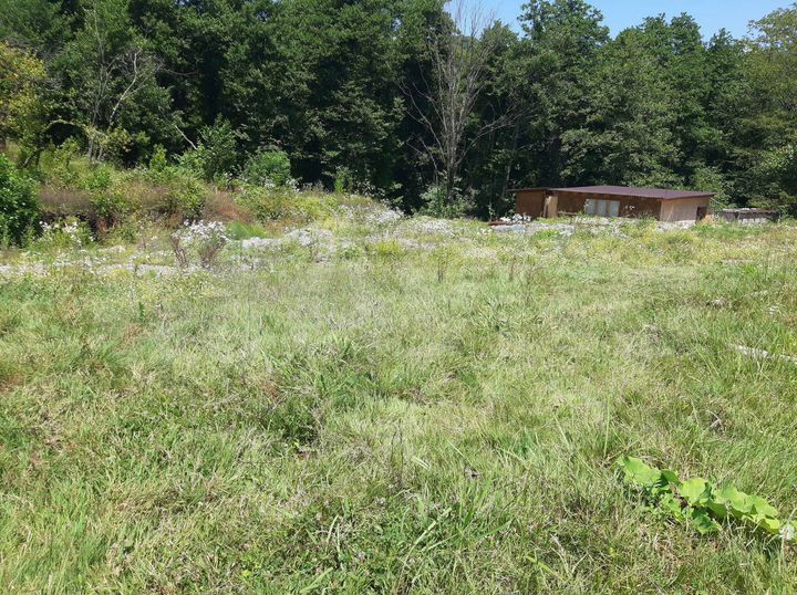 Участок 4 сот. (ИЖС)