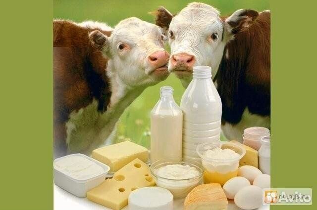 Домашняя молочная продукция