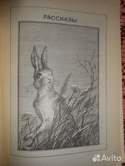 Книга Знаменательный день, А. Х. Таммсааре