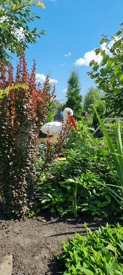 Дача 30 м² на участке 8 сот.