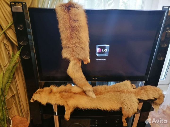 Шкурка животного