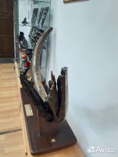 Бивень мамонта. Интерьерная композиция