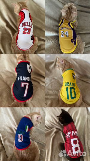 Одежда для собак и кошек