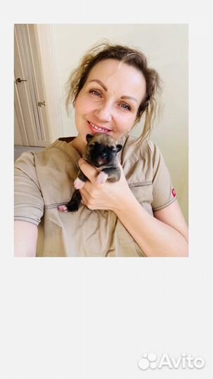 Ветеринарный врач. Стерилизация, кастрация на дому