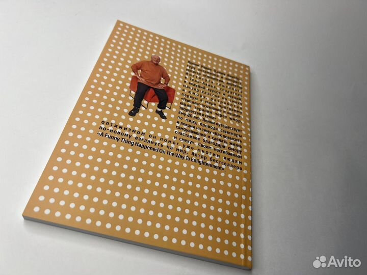 Ленни Равич.Смешные истории на пути к просветлению