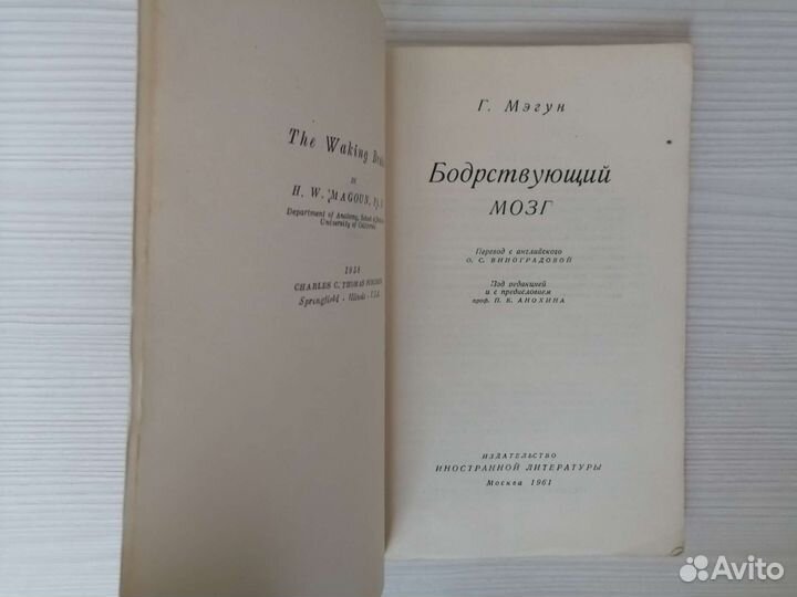 Бодрствующий мозг (1961г.) / Г. Мэгун