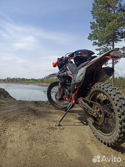 Progasi palma 250
