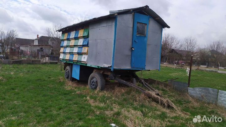 Пчелопавильен