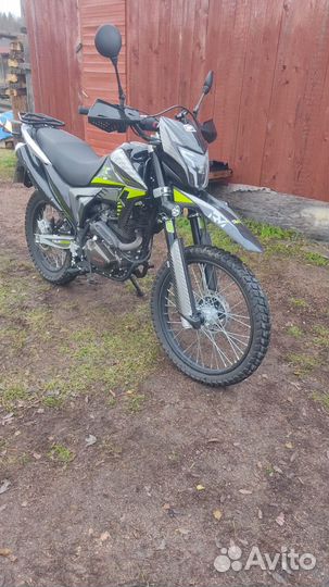Regulmoto TE