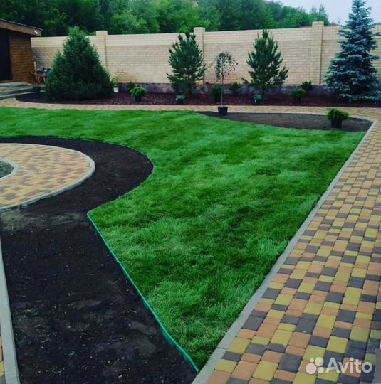 Рулонный газон, газон посевной