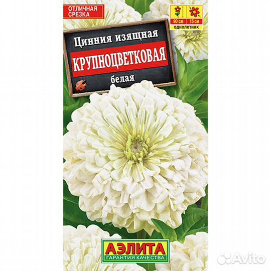 Цинния Крупноцветковая Белая