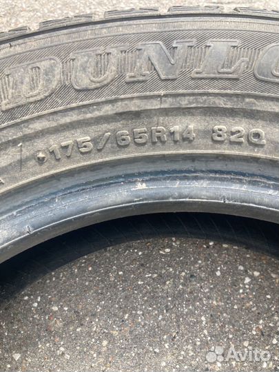 Dunlop Graspic DS3 175/65 R14