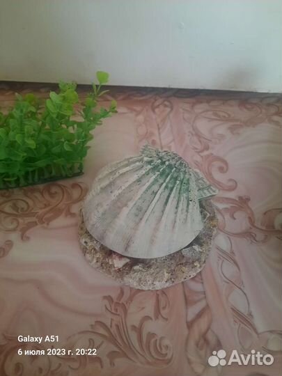 Декорации для аквариума