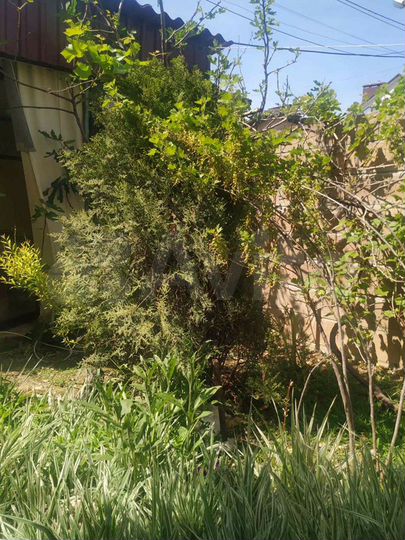 Комната 55 м², 1/2 эт.