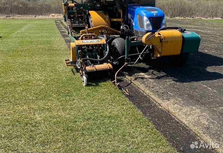 Рулонный газон/продажа