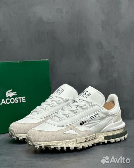 Кроссовки мужские lacoste 41-45