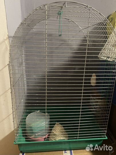 Клетка для птиц