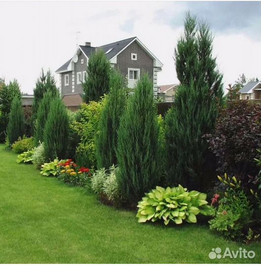 Садовые работы