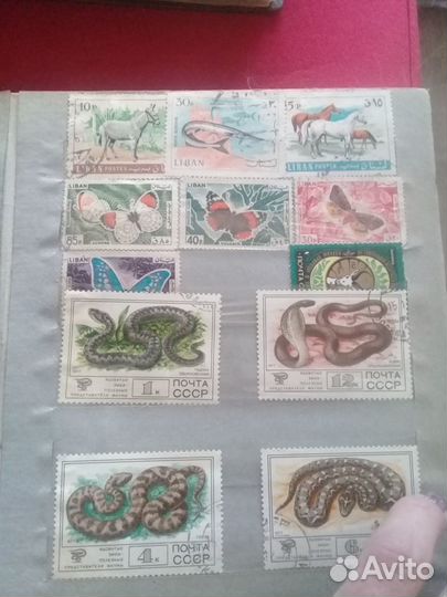 Почтовые марки