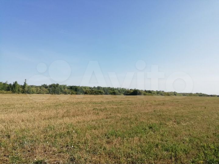 Участок 1,28 га (СНТ, ДНП)