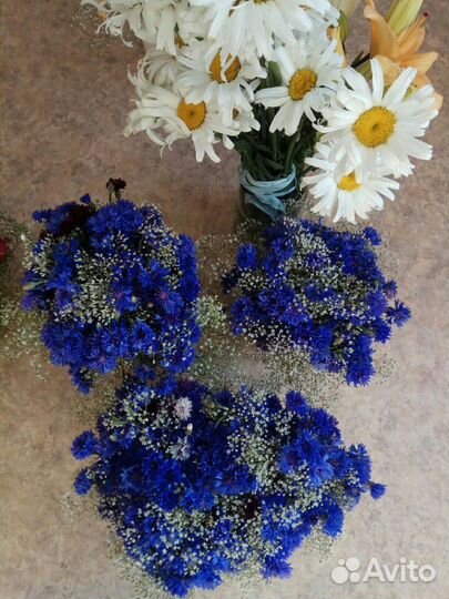 Васильки и минибукеты