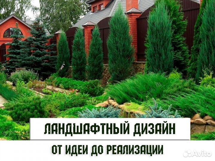 Ландшафтный проект 18 соток земельного участка \ П