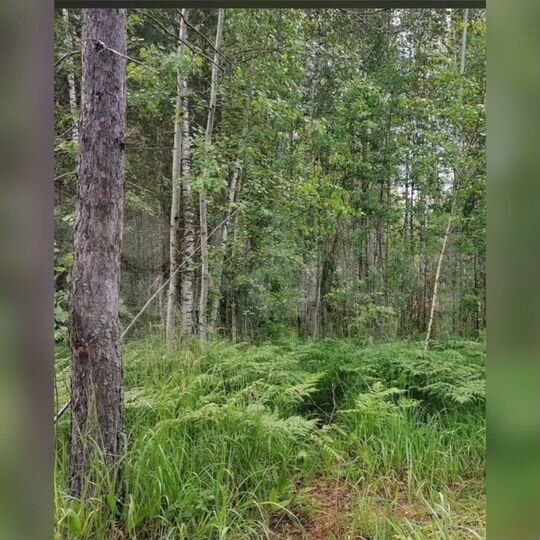 Участок 11,2 сот. (ИЖС)