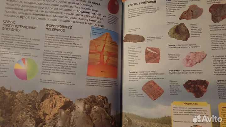 Школьная энциклопедия