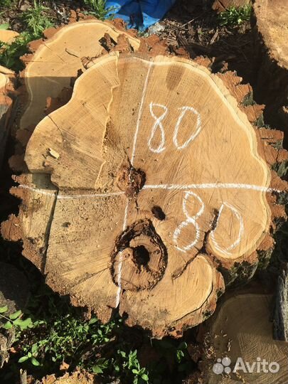 Спилы акации и дуба 1,10 диаметр