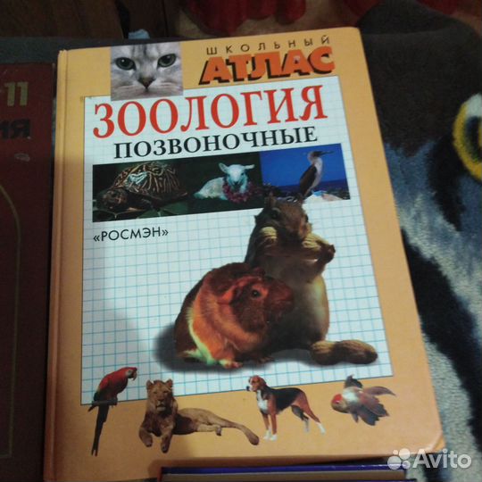 Детская энциклопедия, обучающие книги