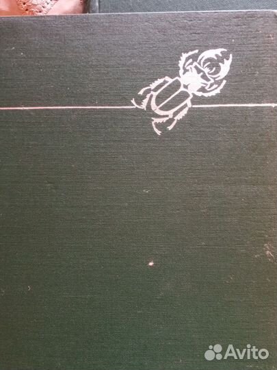 Энциклопедия аванта и жизнь животных 1969г