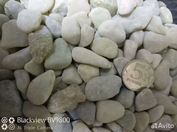 Для аквариума