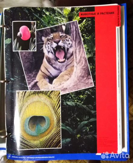 Энциклопедия, журнал, книга 