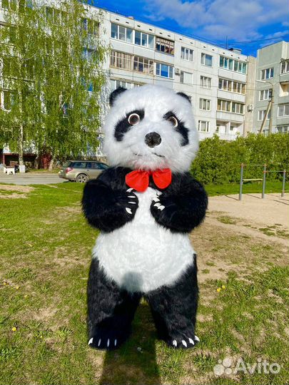Панда ростовая кукла