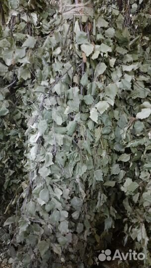 Веники кормовые для животных