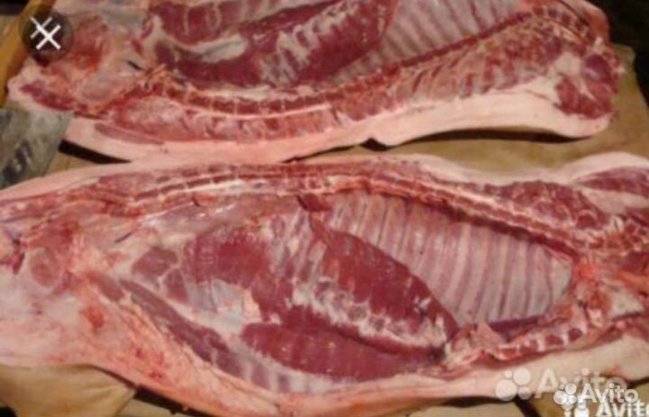 Продам мясо свинина