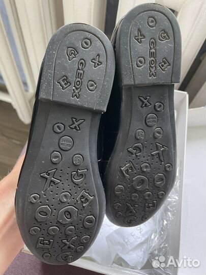 Geox 31