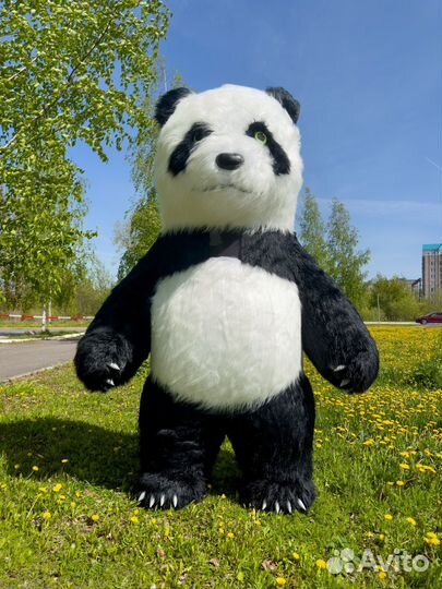 Надувной костюм панда, аэрокостюм Панда 2,8м